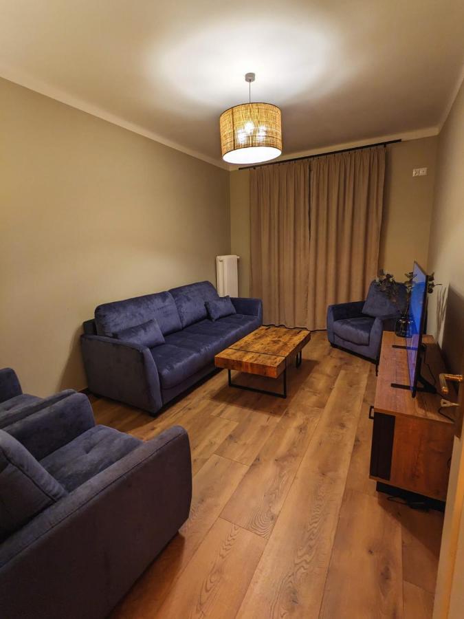 Spacious Two-Bedroom Apartment In The City Center 克拉科夫 外观 照片