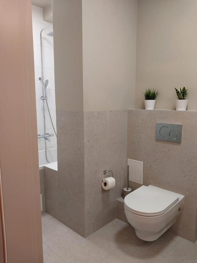 Spacious Two-Bedroom Apartment In The City Center 克拉科夫 外观 照片